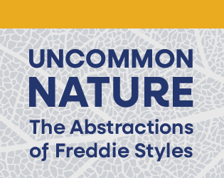 Uncommon Nature: The Abstractions of Freddie Styles