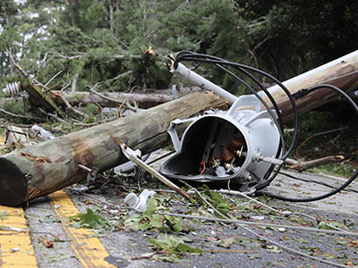 A collapsed telephone pole.