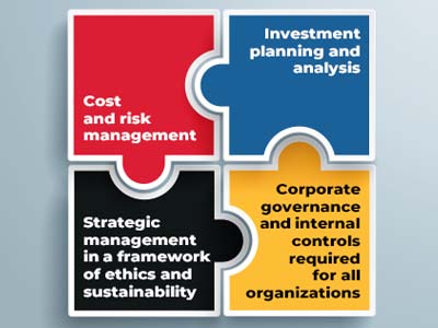 Four interlocking puzzle pieces that say, "Cost and risk management; Investment planning and analysis; Strategic management in a framework of ethics and sustainability; and Corporate governance and internal controls required for all organizations."