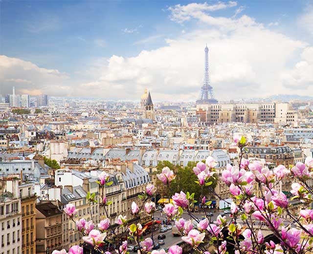 Picasso in Paris UMGC Europe