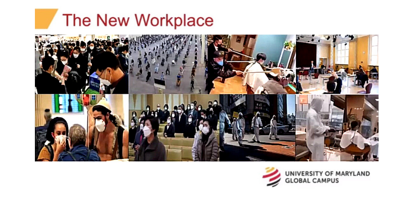 Collage of photos showing various workplaces during COVID