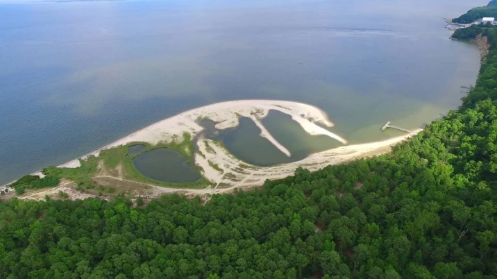 An aerial view of Flag Ponds Nature Park