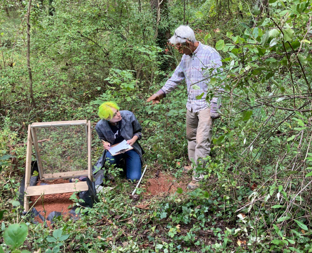 Madeline Flókadóttir takes notes on a clipboard from a kneeling position near a wooden frame around a dig site in a wooded area. She is talking with a fellow archaeologist.