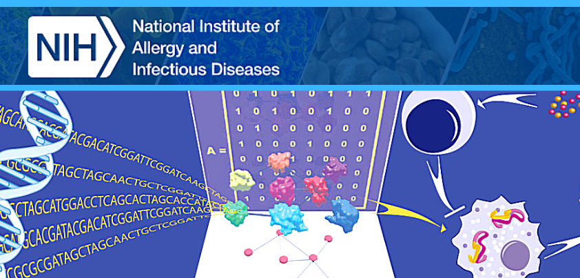 Genetics and Virus-related banner for the National Institute of Allergy and Infectious Diseases.