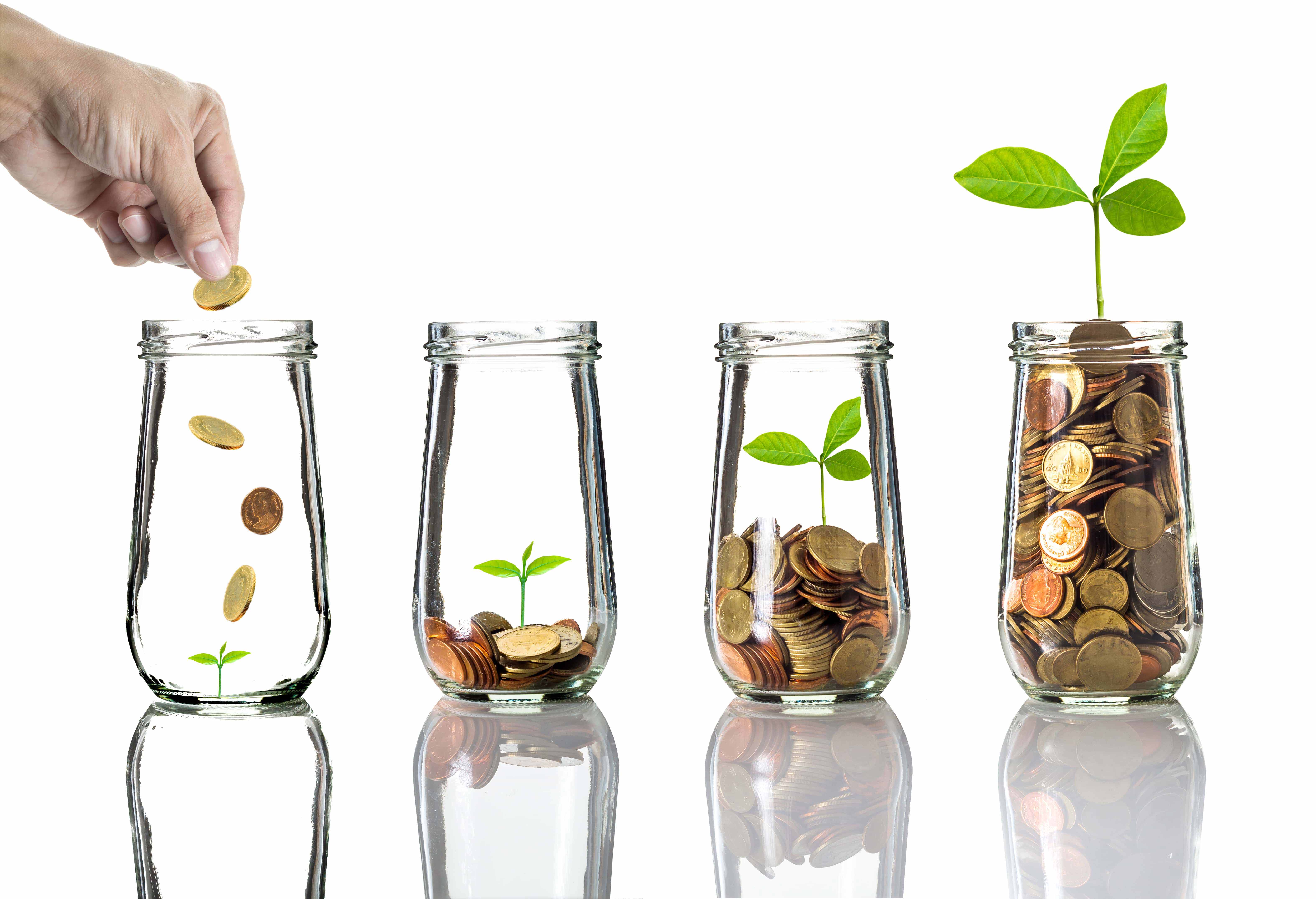 A series of jars with coins in them with a plant growing out of it, alluding to 'making your money grow'.