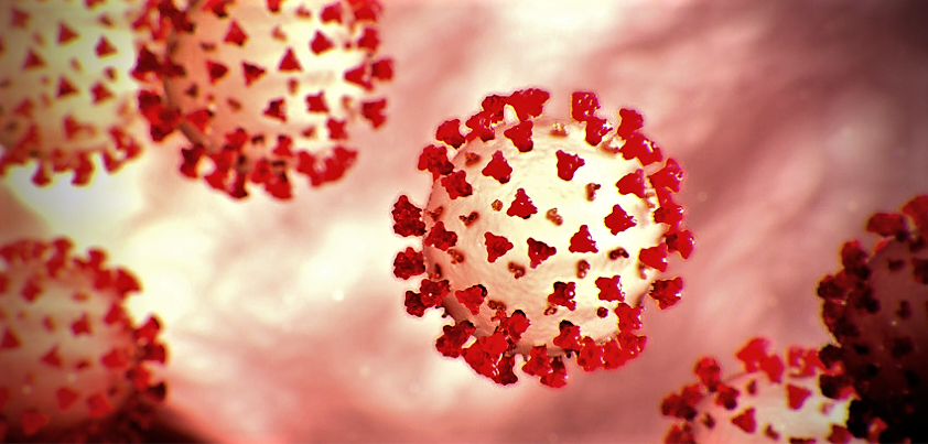 A depiction of a cell infected with COVID