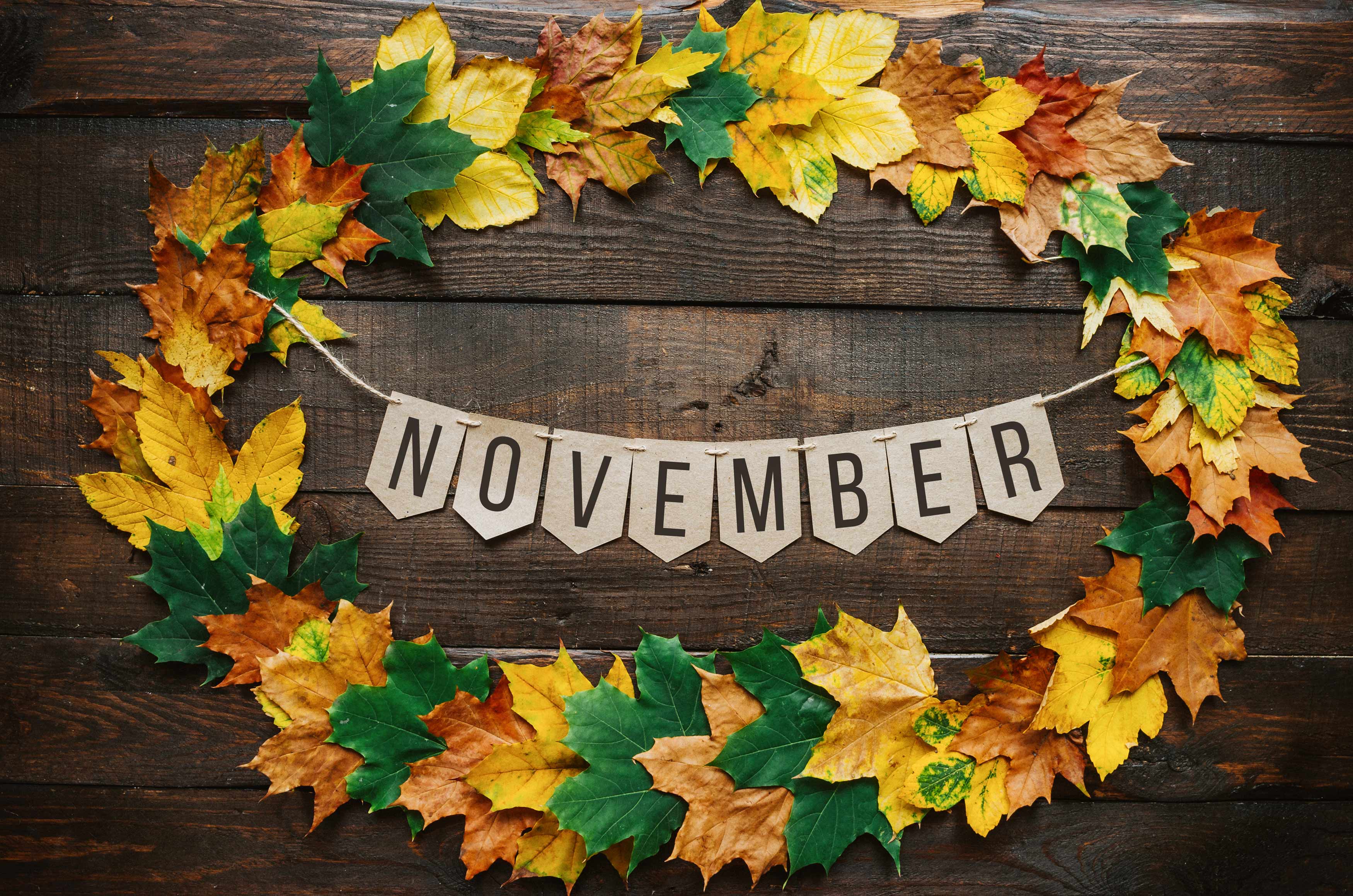 A wreath of leaves with the word november in it.