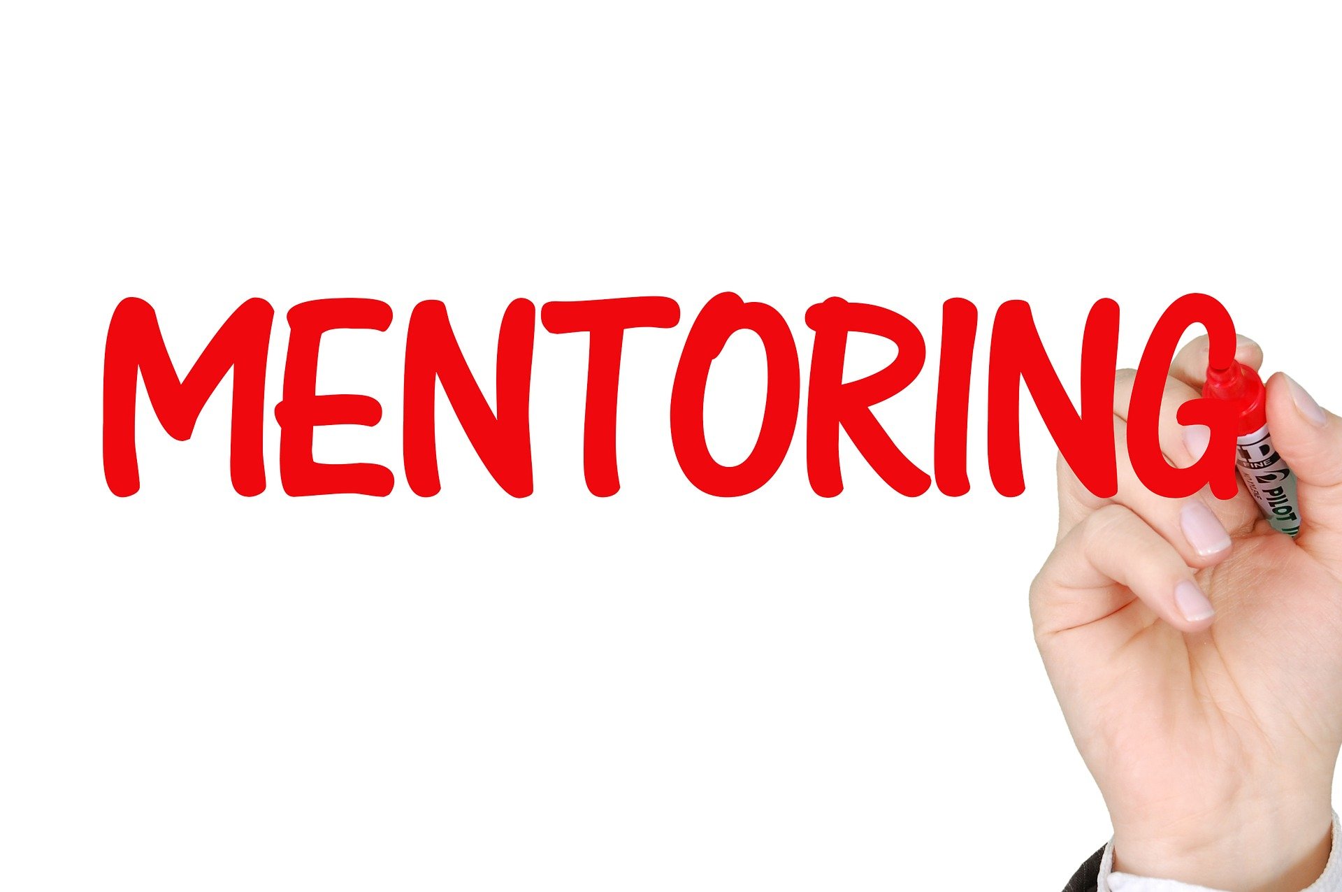 The word mentoring in marker.