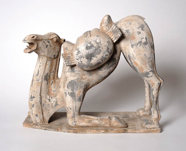 Unknown artist - Bactrian Camel Bactrian Camel