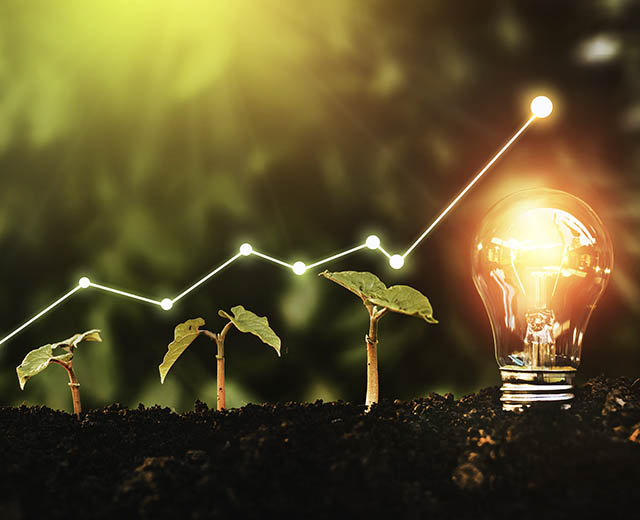 A line graph hovering over three saplings increasing in height followed by a lit lightbulb.