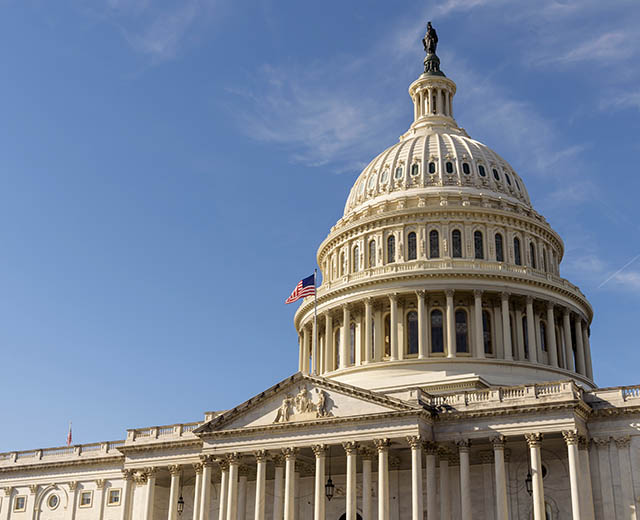 The U.S. Capitol Building.