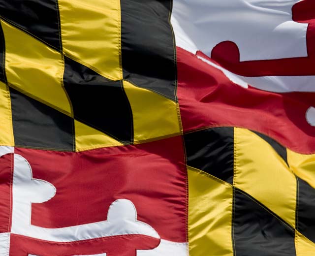 The Maryland flag.