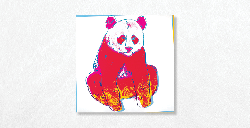 Drawing of a Panda in pink and yellow
