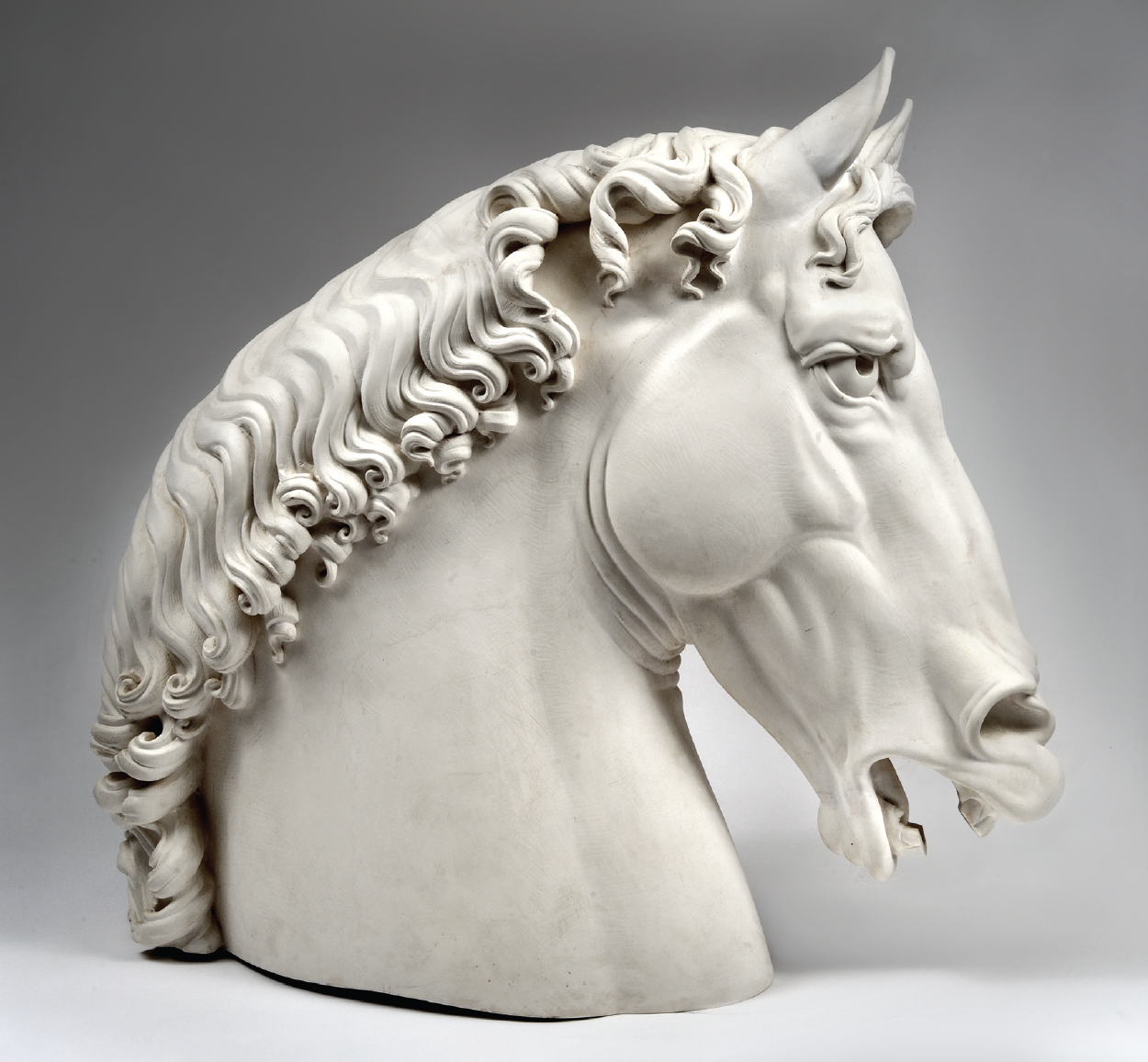 "Leonardo's Horse Head"