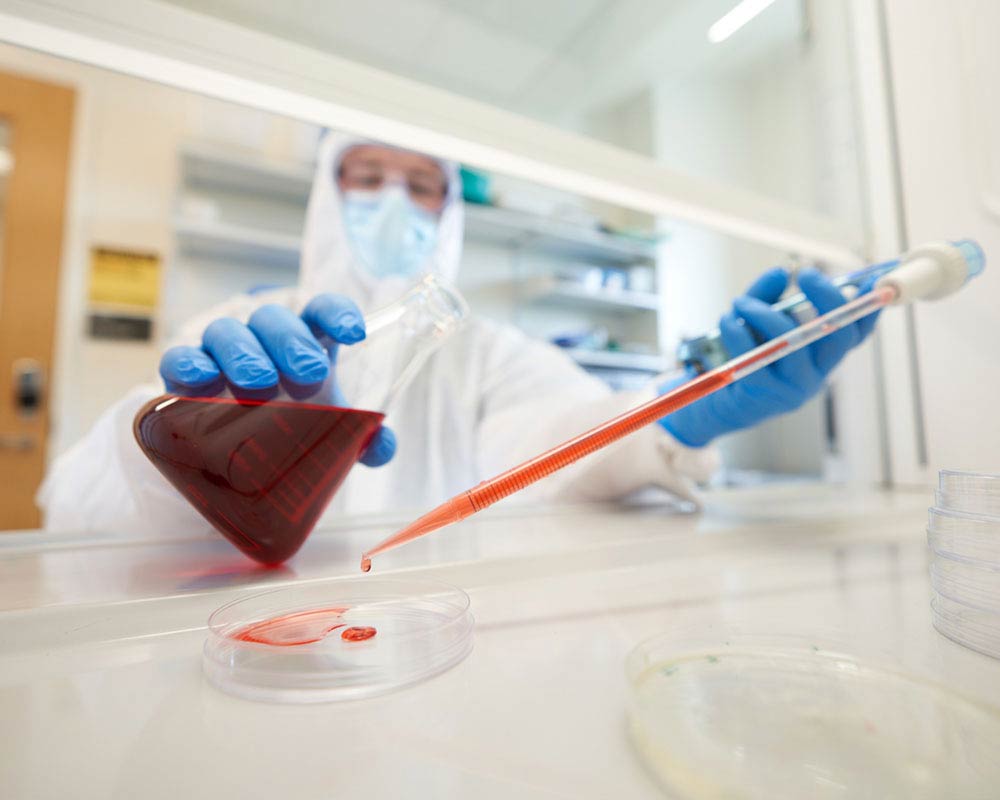 Online Biotechnology Master #39 s Degree Biosecurity UMGC